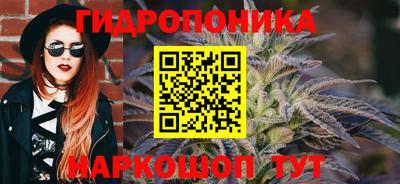 бошки Жуковский