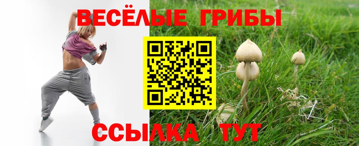 Галлюциногенные грибы ЛСД Ялта