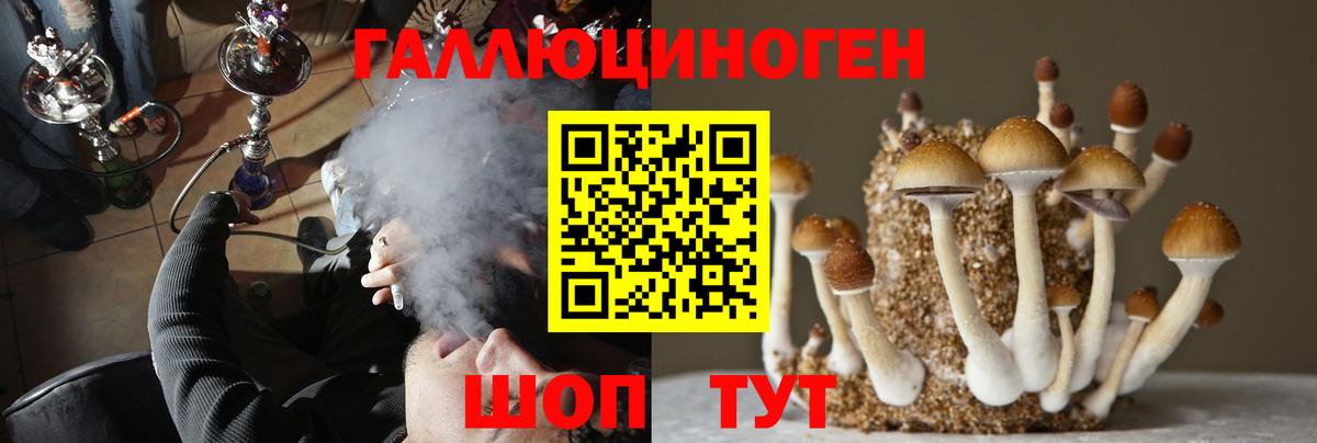 Ялта  Псилоцибиновые грибы мицелий  Вход с VPN  Галлюциногенные грибы Psilocybine cubensis 